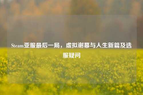 Steam亚服最后一局,虚拟谢幕与人生新篇及选服疑问