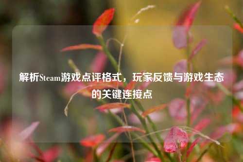 解析Steam游戏点评格式,玩家反馈与游戏生态的关键连接点