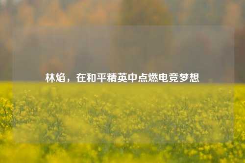 林焰，在和平精英中点燃电竞梦想