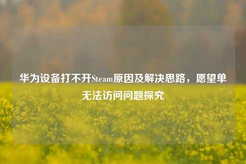 华为设备打不开Steam原因及解决思路，愿望单无法访问问题探究