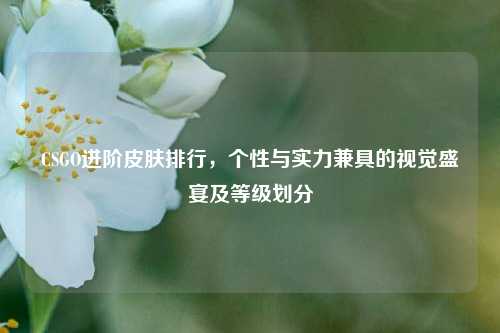 CSGO进阶皮肤排行,个性与实力兼具的视觉盛宴及等级划分