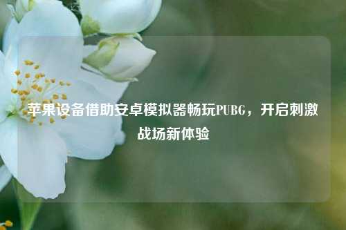 苹果设备借助安卓模拟器畅玩PUBG，开启刺激战场新体验