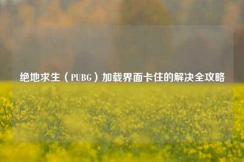 绝地求生(PUBG)加载界面卡住的解决全攻略