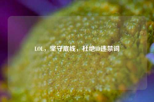 LOL，坚守底线，杜绝ID违禁词