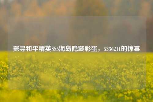 探寻和平精英SS5海岛隐藏彩蛋,5336211的惊喜
