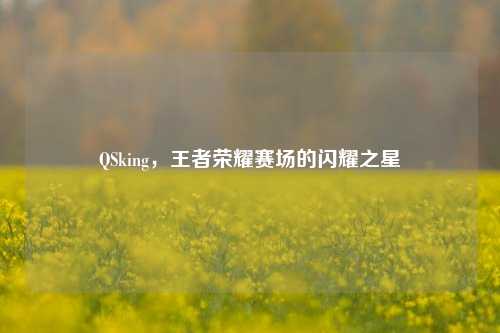 QSking，王者荣耀赛场的闪耀之星