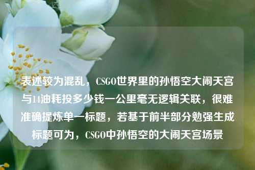 表述较为混乱，CSGO世界里的孙悟空大闹天宫与14油耗投多少钱一公里毫无逻辑关联，很难准确提炼单一标题，若基于前半部分勉强生成标题可为，CSGO中孙悟空的大闹天宫场景