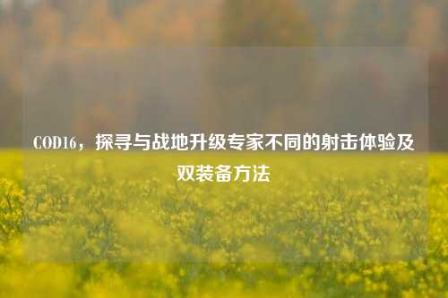 COD16，探寻与战地升级专家不同的射击体验及双装备方法