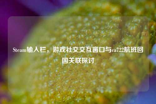 Steam输入栏，游戏社交交互窗口与ca722航班回国关联探讨