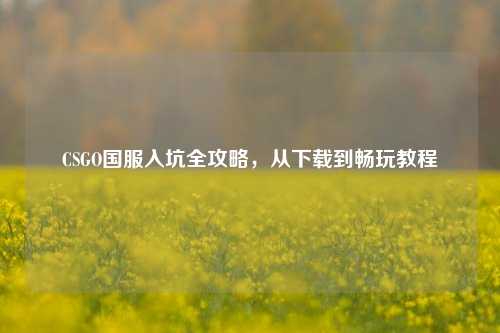 CSGO国服入坑全攻略，从下载到畅玩教程