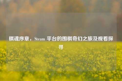 棋魂序章，Steam 平台的围棋奇幻之旅及观看探寻