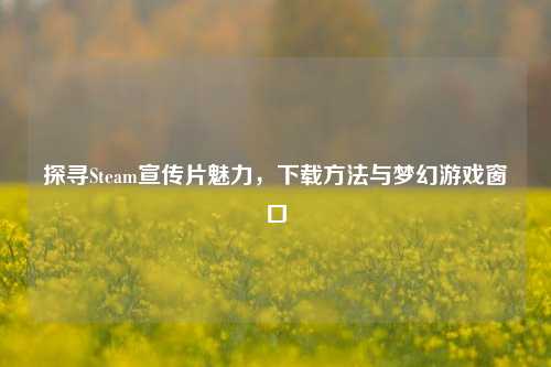 探寻Steam宣传片魅力，下载方法与梦幻游戏窗口