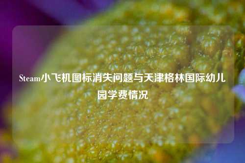 Steam小飞机图标消失问题与天津格林国际幼儿园学费情况