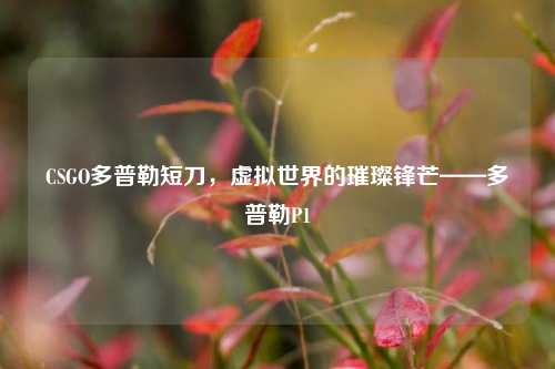 CSGO多普勒短刀,虚拟世界的璀璨锋芒——多普勒P1