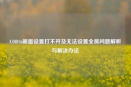 COD16画面设置打不开及无法设置全屏问题解析与解决办法