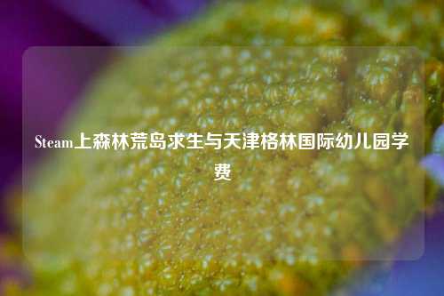 Steam上森林荒岛求生与天津格林国际幼儿园学费
