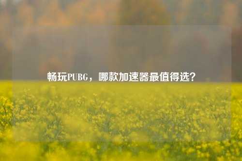 畅玩PUBG，哪款加速器最值得选？