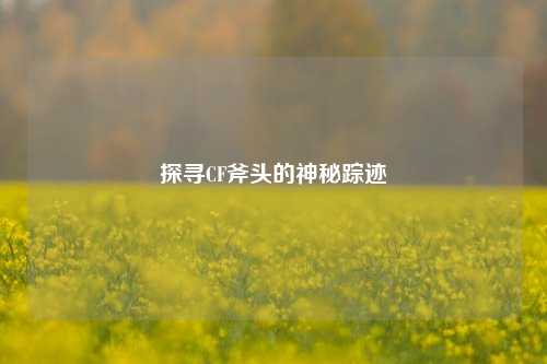 探寻CF斧头的神秘踪迹