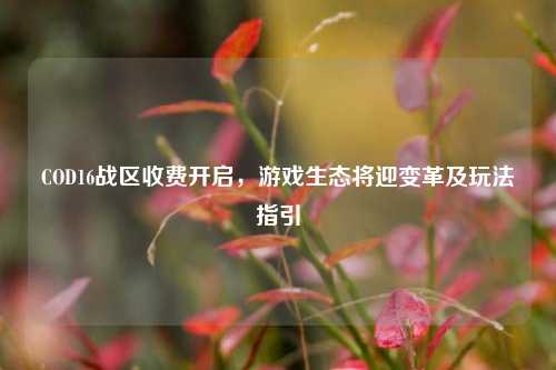 COD16战区收费开启,游戏生态将迎变革及玩法指引