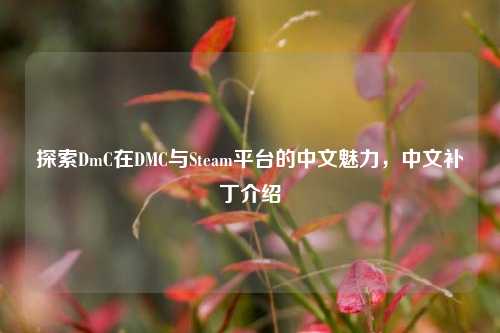 探索DmC在DMC与Steam平台的中文魅力，中文补丁介绍
