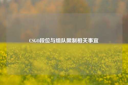 CSGO段位与组队限制相关事宜