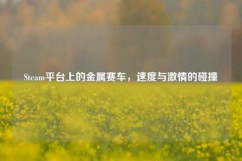 Steam平台上的金属赛车,速度与激情的碰撞