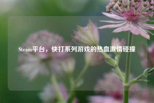 Steam平台,快打系列游戏的热血激情碰撞