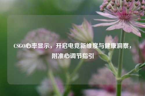 CSGO心率显示，开启电竞新维度与健康洞察，附准心调节指引