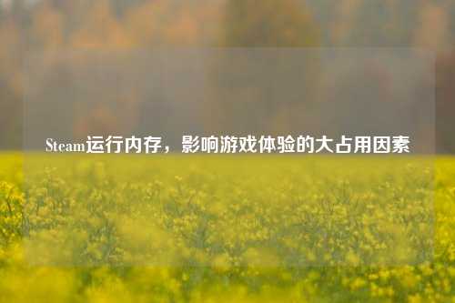 Steam运行内存,影响游戏体验的大占用因素