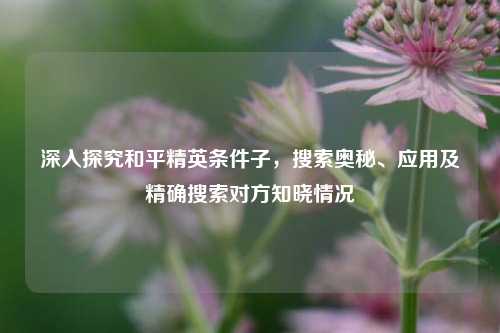 深入探究和平精英条件子,搜索奥秘、应用及精确搜索对方知晓情况