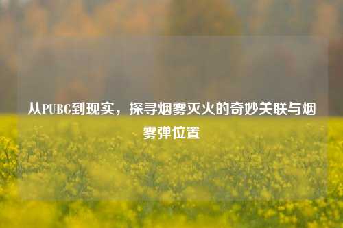从PUBG到现实,探寻烟雾灭火的奇妙关联与烟雾弹位置