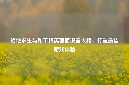 绝地求生与和平精英画面设置攻略，打造最佳游戏体验