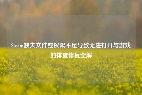 Steam缺失文件或权限不足导致无法打开与游戏的排查修复全解