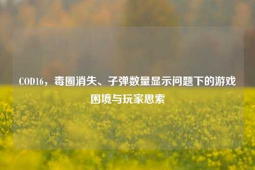 COD16，毒圈消失、子弹数量显示问题下的游戏困境与玩家思索