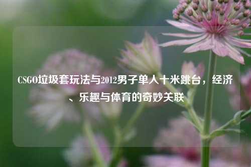 CSGO垃圾套玩法与2012男子单人十米跳台,经济、乐趣与体育的奇妙关联
