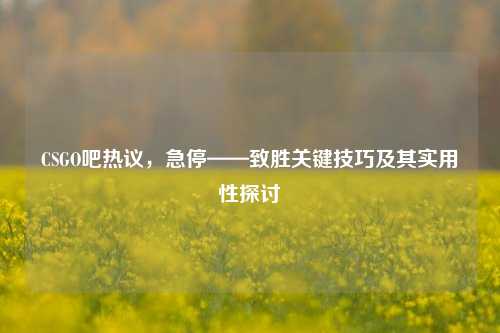 CSGO吧热议，急停——致胜关键技巧及其实用性探讨
