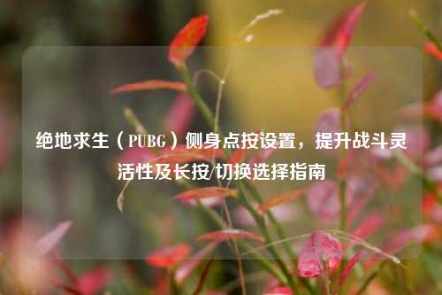 绝地求生(PUBG)侧身点按设置,提升战斗灵活性及长按/切换选择指南