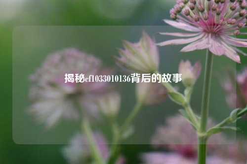 揭秘cf1033010136背后的故事