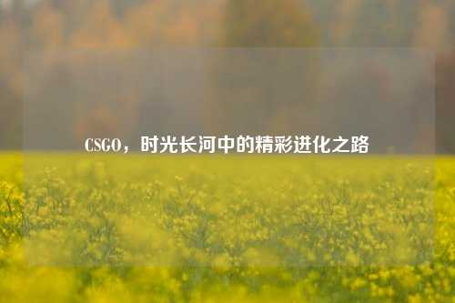 CSGO，时光长河中的精彩进化之路
