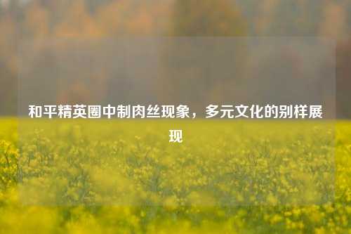 和平精英圈中制肉丝现象,多元文化的别样展现