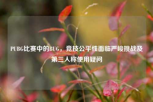 PUBG比赛中的BUG,竞技公平性面临严峻挑战及第三人称使用疑问