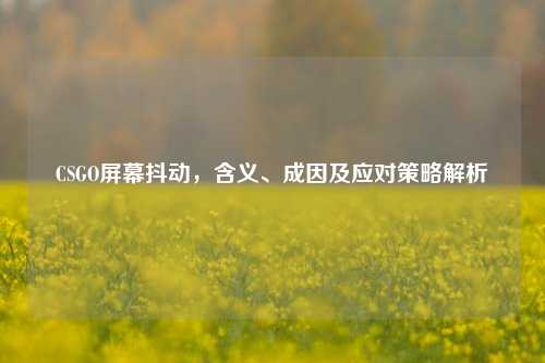 CSGO屏幕抖动,含义、成因及应对策略解析