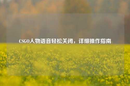 CSGO人物语音轻松关闭，详细操作指南