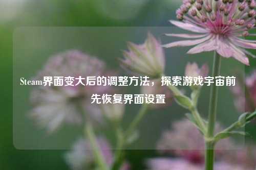 Steam界面变大后的调整方法,探索游戏宇宙前先恢复界面设置