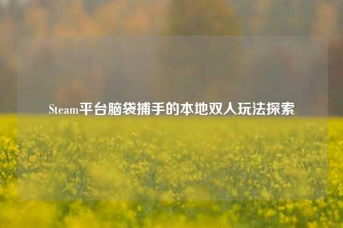 Steam平台脑袋捕手的本地双人玩法探索