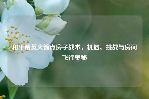 和平精英火箭点房子战术,机遇、挑战与房间飞行奥秘