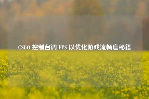 CSGO 控制台调 FPS 以优化游戏流畅度秘籍
