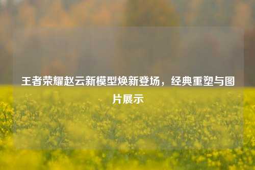 王者荣耀赵云新模型焕新登场,经典重塑与图片展示