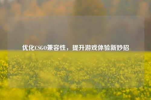 优化CSGO兼容性,提升游戏体验新妙招