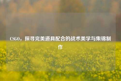 CSGO,探寻完美道具配合的战术美学与集锦制作